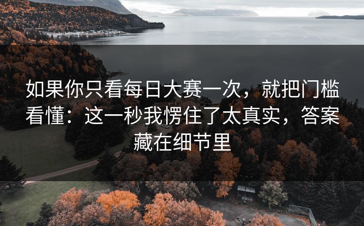 如果你只看每日大赛一次，就把门槛看懂：这一秒我愣住了太真实，答案藏在细节里